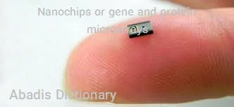 nanochips or gene and protein microarrays